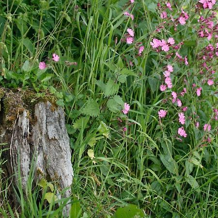 فيلا هونيتونفي Odle Farm المظهر الخارجي الصورة