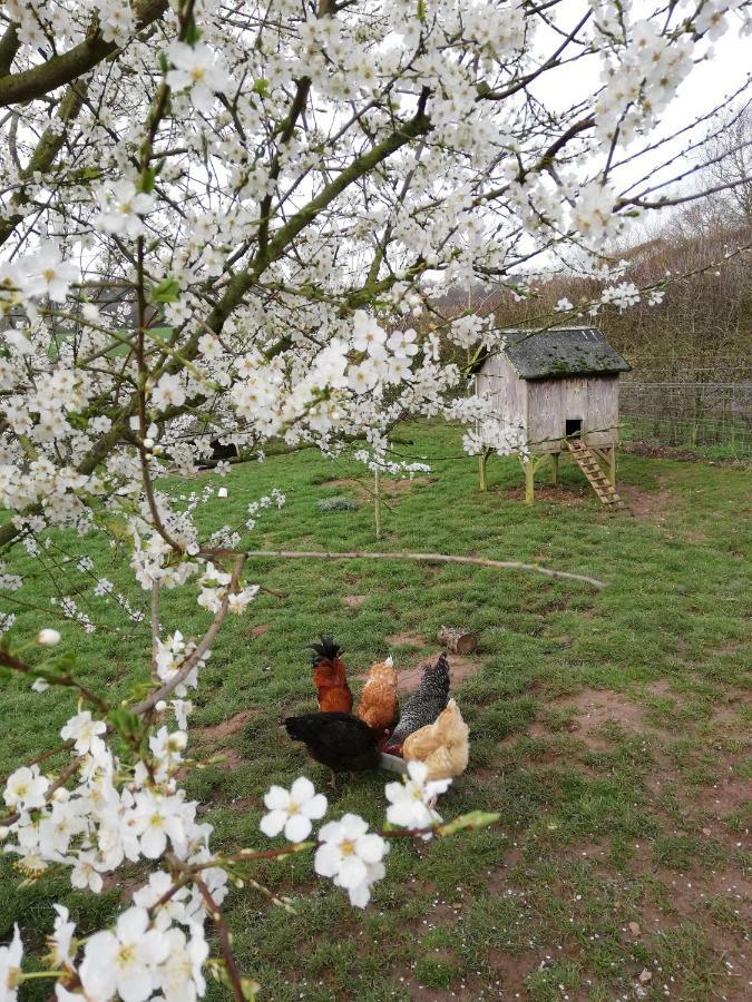 فيلا هونيتونفي Odle Farm المظهر الخارجي الصورة